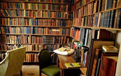 Eintauchen in die Welt der Bücher